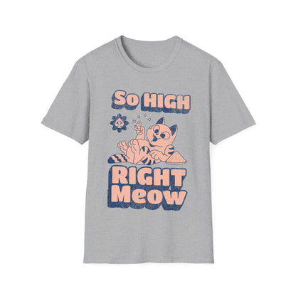 so high right meow V3 T-Shirt