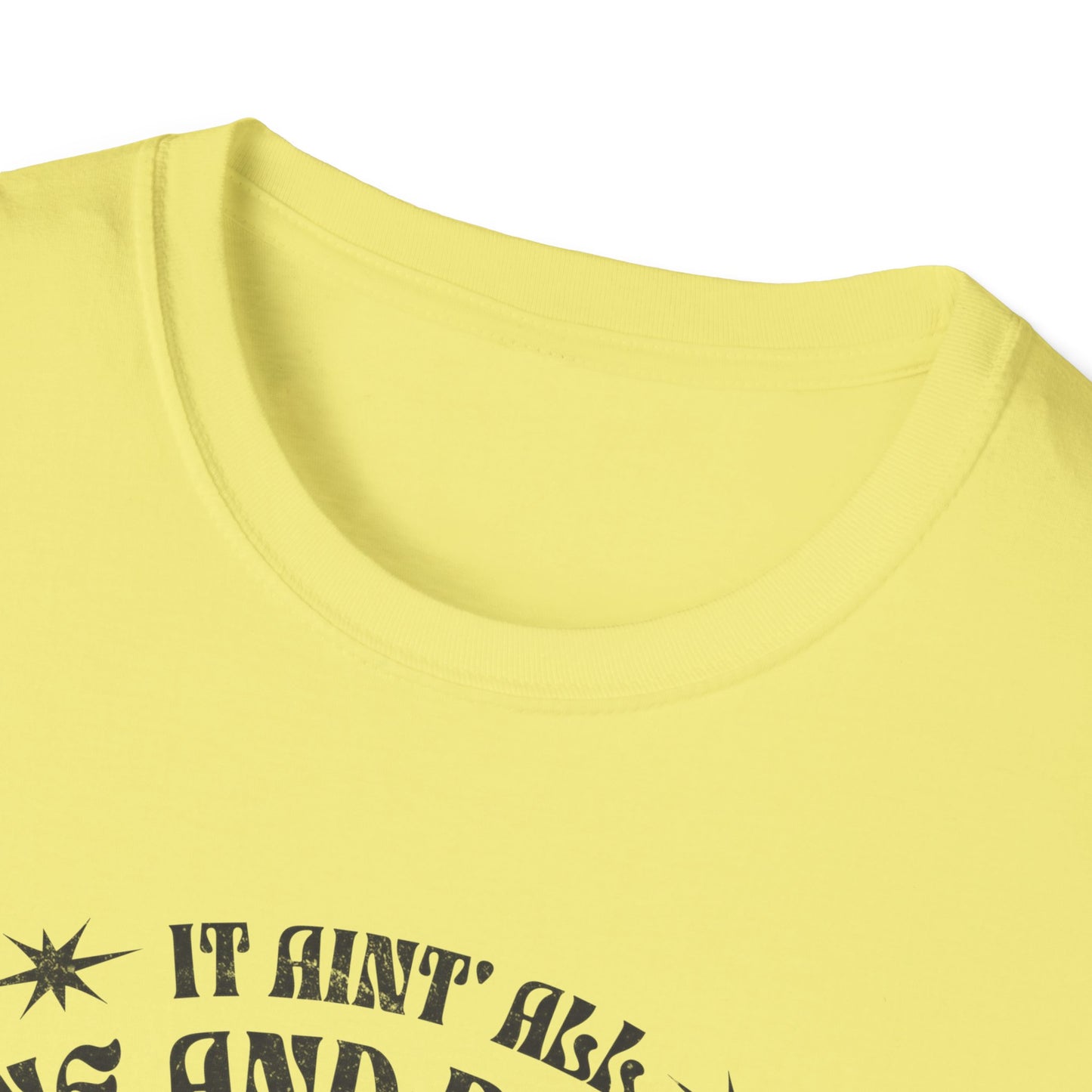 It Aint All Sunshine And Butterflier T-Shirt